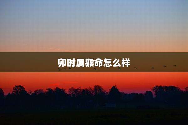 卯时属猴命怎么样