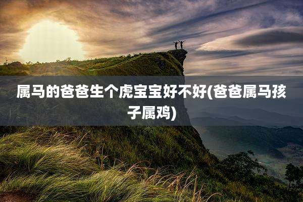 属马的爸爸生个虎宝宝好不好(爸爸属马孩子属鸡)