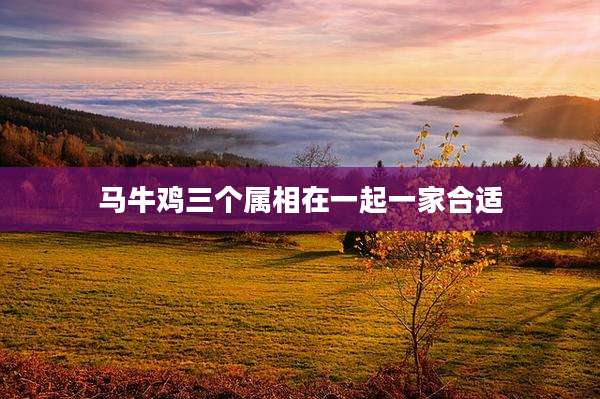 马牛鸡三个属相在一起一家合适