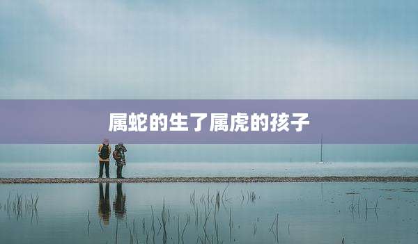 属蛇的生了属虎的孩子