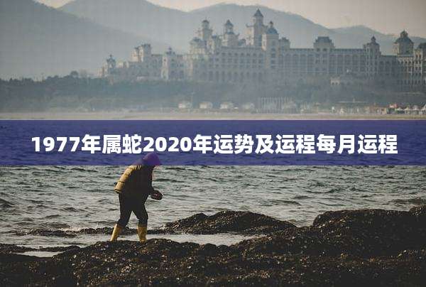 1977年属蛇2020年运势及运程每月运程