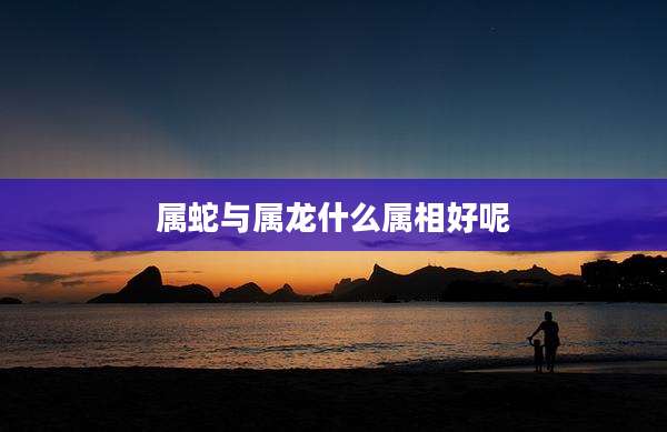 属蛇与属龙什么属相好呢