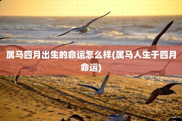 属马四月出生的命运怎么样(属马人生于四月命运)