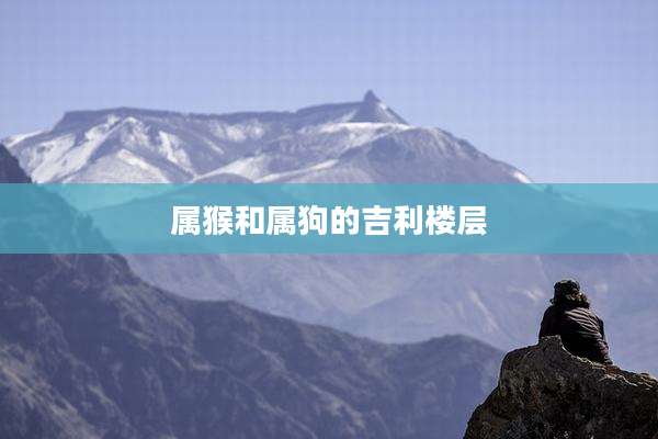 属猴和属狗的吉利楼层