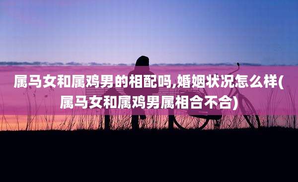 属马女和属鸡男的相配吗,婚姻状况怎么样(属马女和属鸡男属相合不合)
