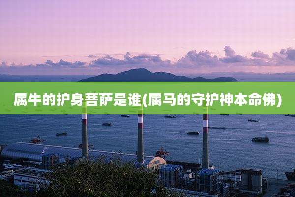 属牛的护身菩萨是谁(属马的守护神本命佛)
