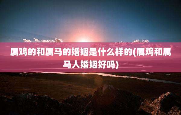 属鸡的和属马的婚姻是什么样的(属鸡和属马人婚姻好吗)