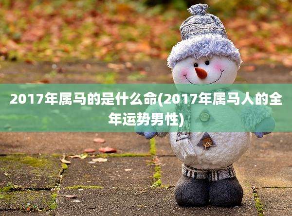 2017年属马的是什么命(2017年属马人的全年运势男性)
