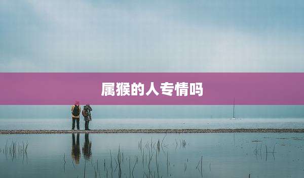 属猴的人专情吗