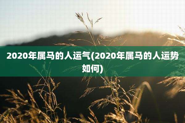2020年属马的人运气(2020年属马的人运势如何)