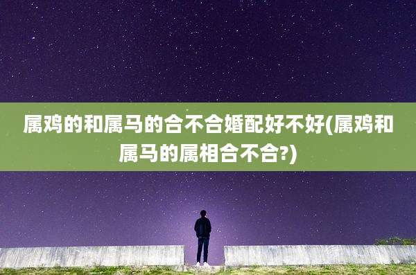 属鸡的和属马的合不合婚配好不好(属鸡和属马的属相合不合?)