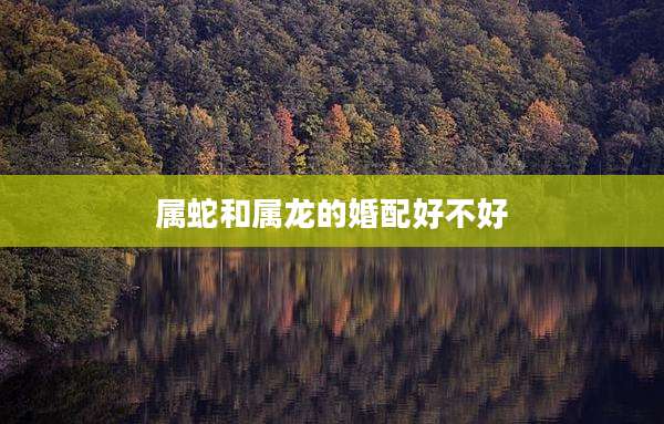 属蛇和属龙的婚配好不好