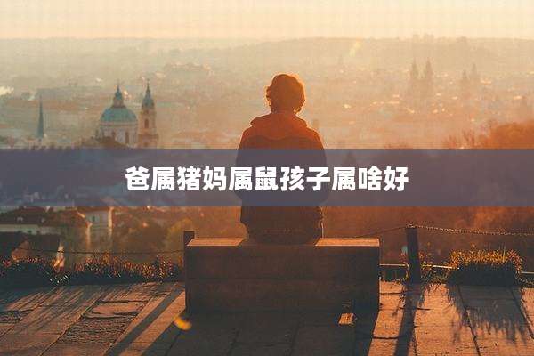 爸属猪妈属鼠孩子属啥好