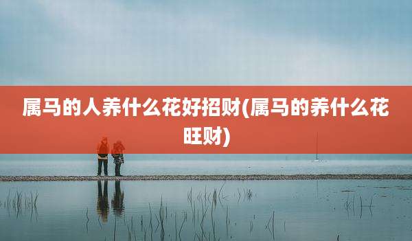 属马的人养什么花好招财(属马的养什么花旺财)