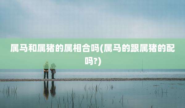属马和属猪的属相合吗(属马的跟属猪的配吗?)