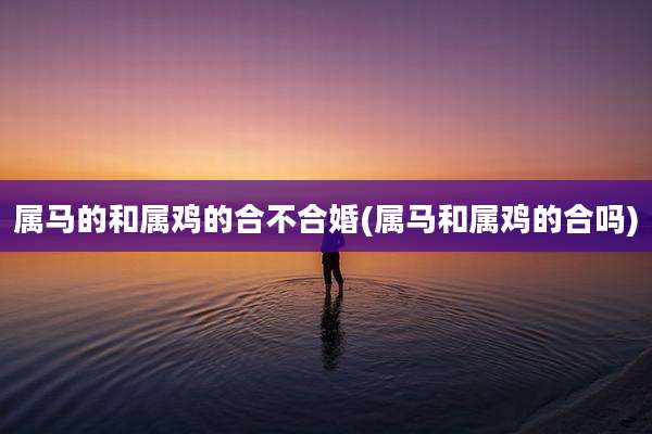 属马的和属鸡的合不合婚(属马和属鸡的合吗)