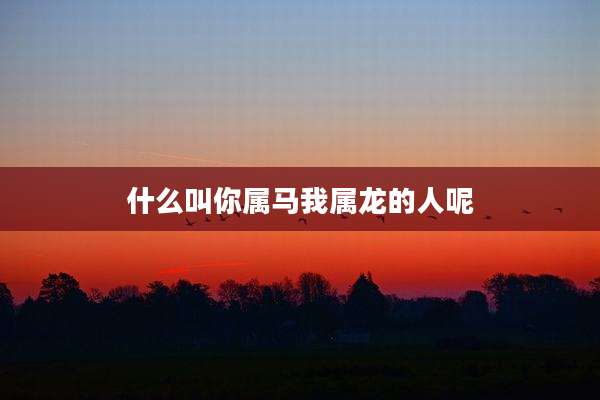 什么叫你属马我属龙的人呢