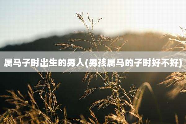 属马子时出生的男人(男孩属马的子时好不好)