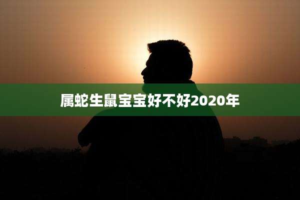 属蛇生鼠宝宝好不好2020年