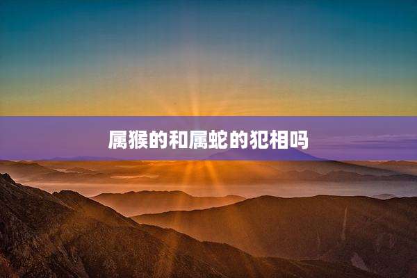 属猴的和属蛇的犯相吗