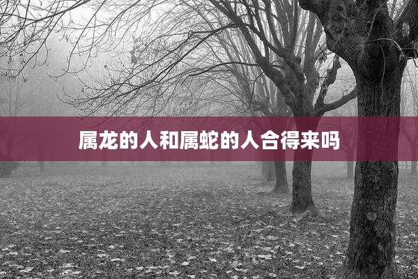 属龙的人和属蛇的人合得来吗