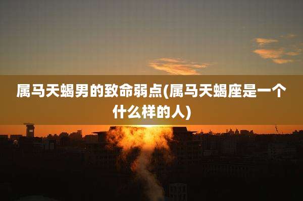 属马天蝎男的致命弱点(属马天蝎座是一个什么样的人)