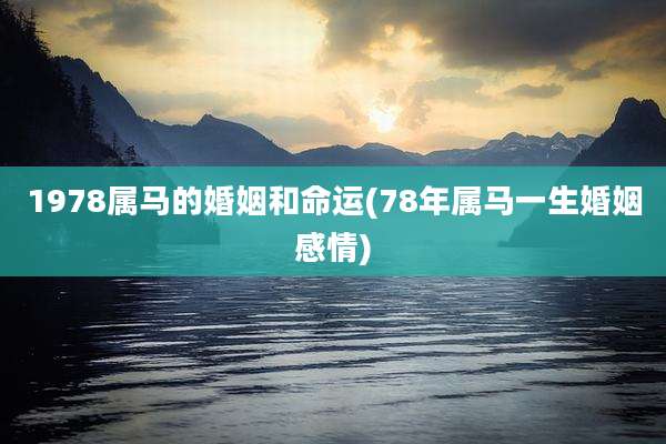 1978属马的婚姻和命运(78年属马一生婚姻感情)