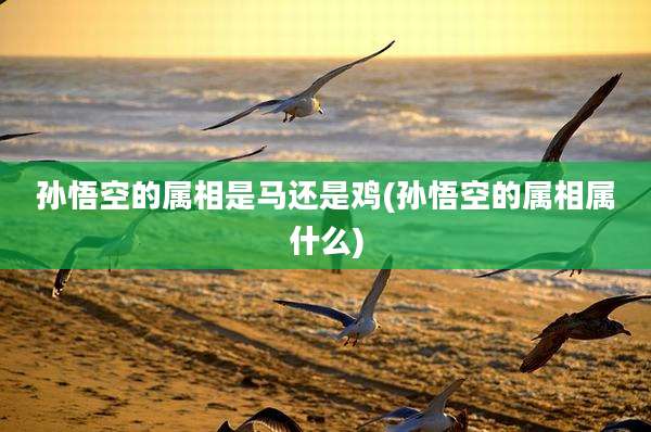 孙悟空的属相是马还是鸡(孙悟空的属相属什么)