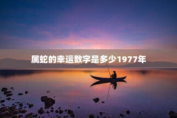属蛇的幸运数字是多少1977年