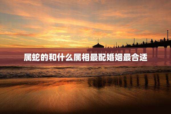 属蛇的和什么属相最配婚姻最合适