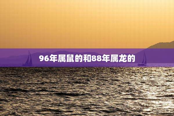96年属鼠的和88年属龙的