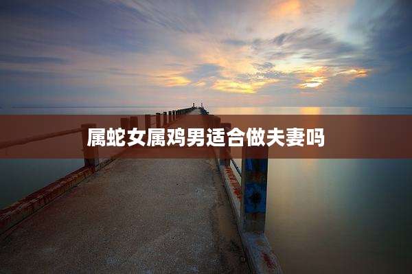 属蛇女属鸡男适合做夫妻吗