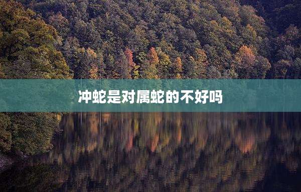 冲蛇是对属蛇的不好吗