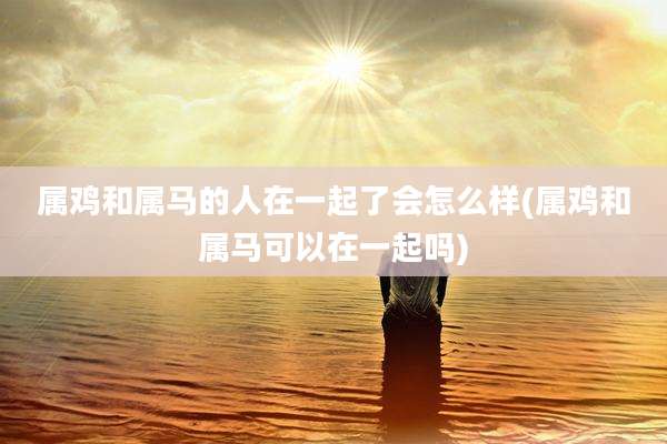 属鸡和属马的人在一起了会怎么样(属鸡和属马可以在一起吗)