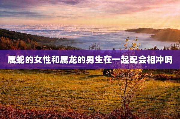 属蛇的女性和属龙的男生在一起配会相冲吗
