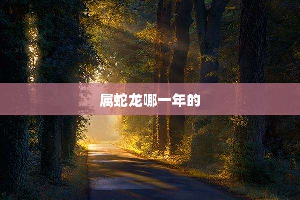 属蛇龙哪一年的