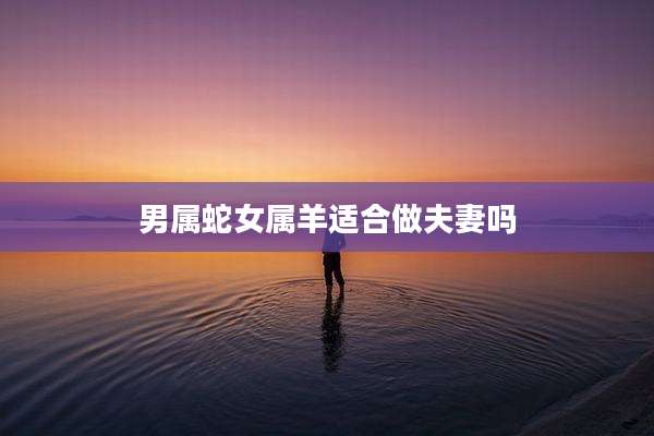 男属蛇女属羊适合做夫妻吗