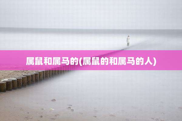 属鼠和属马的(属鼠的和属马的人)