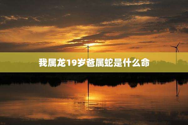 我属龙19岁爸属蛇是什么命
