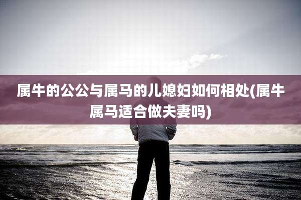 属牛的公公与属马的儿媳妇如何相处(属牛属马适合做夫妻吗)