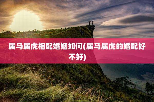 属马属虎相配婚姻如何(属马属虎的婚配好不好)