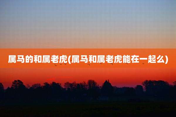 属马的和属老虎(属马和属老虎能在一起么)
