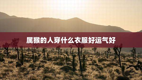 属猴的人穿什么衣服好运气好