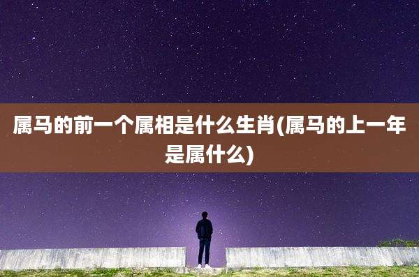 属马的前一个属相是什么生肖(属马的上一年是属什么)