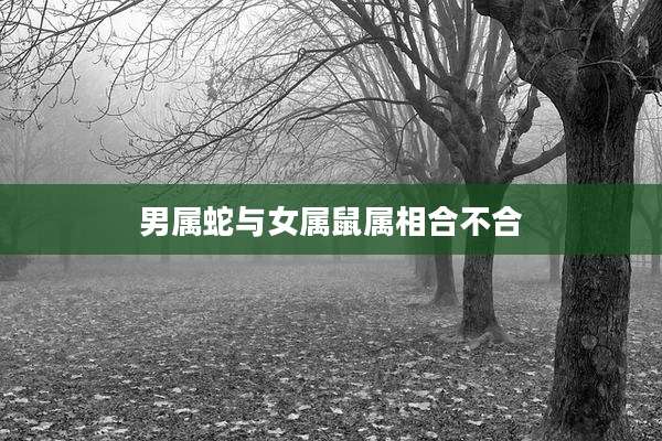 男属蛇与女属鼠属相合不合