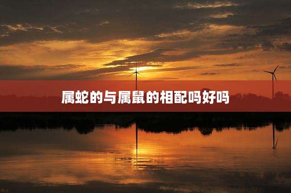 属蛇的与属鼠的相配吗好吗