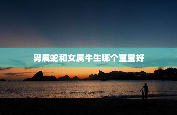 男属蛇和女属牛生哪个宝宝好
