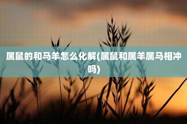 属鼠的和马羊怎么化解(属鼠和属羊属马相冲吗)