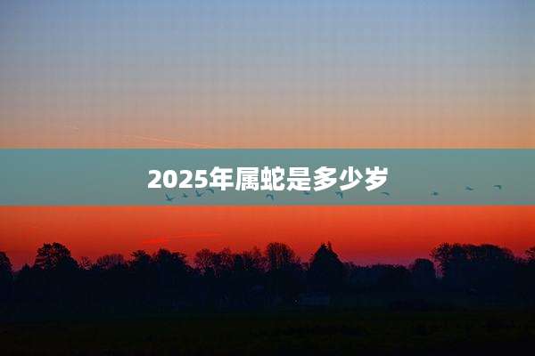 2025年属蛇是多少岁
