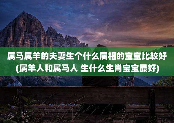 属马属羊的夫妻生个什么属相的宝宝比较好(属羊人和属马人 生什么生肖宝宝最好)